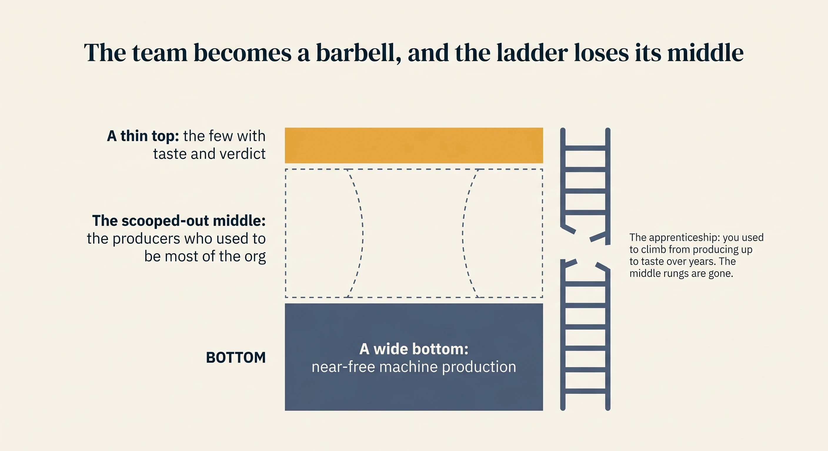 The team becomes a barbell: a thin amber top of people with taste and verdict, a wide slate bottom of near-free machine production, and a hollow middle where the producers used to be; beside it a ladder with its middle rungs missing, the broken apprenticeship that used to carry people from producing up to taste